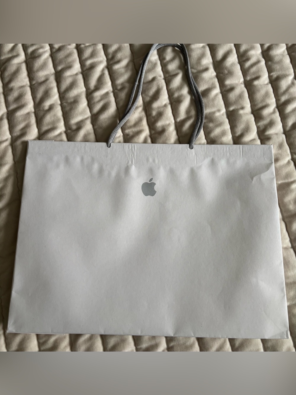 Apple gift bag